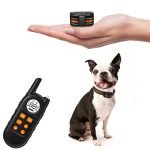 Smallest Dog Training Collar: Ultimate Guide for Pet Owners