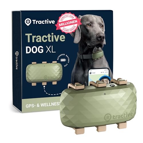 Smart Dog Activity Tracker: Ultimate GPS & Health Monitoring Guide