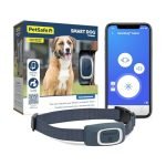 Smart Dog Training Collar With App for Effective Wireless Pet Control