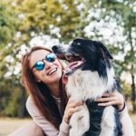 Smartest Dog Breeds Ranked: Discover Top Canine Geniuses