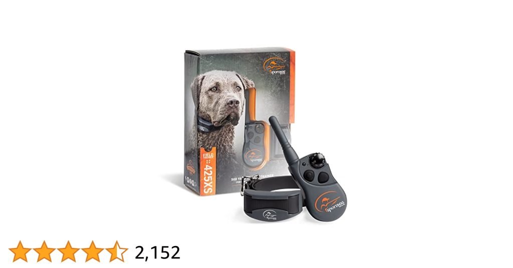 Sport Dog Collar Training: Effective Techniques Unleashed