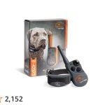 Sport Dog Collar Training: Effective Techniques Unleashed