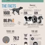 State Farm Homeowners Insurance Dog Breed Restrictions: Essential Guide