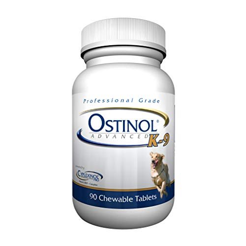 Stem Cell Therapy Supplements for Dogs: Boost Joint Health and Mobility