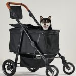 Strollers for Large Dogs: Top Durable and Comfortable Picks for Outdoors