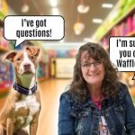 Susan Garrett Dog Training: Transform Your Pup Today