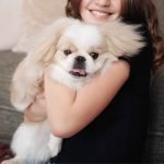 Sweetest Dog Breeds: Heartwarming Companions