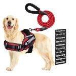 Therapy Dog in Training Vest: Unleashing Calmness