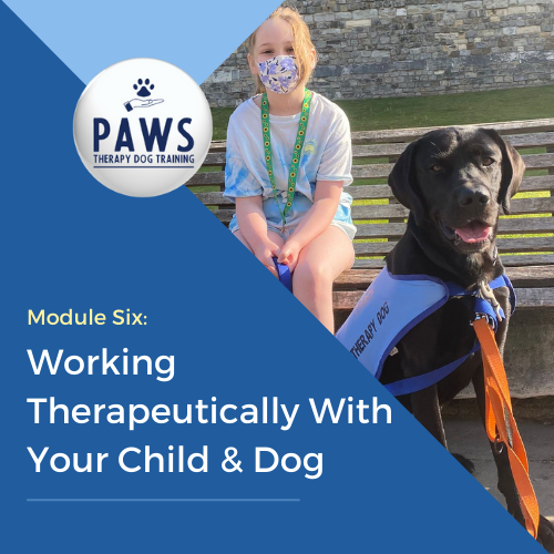 Therapy Dog Training: Transform Your Pup into a Healer