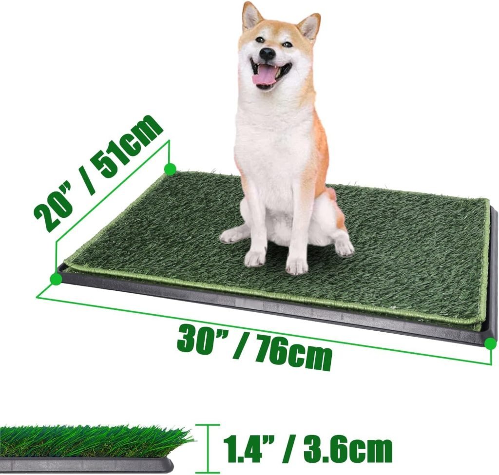 Toilet Training an Older Dog: Proven Tips and Tricks