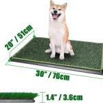 Toilet Training an Older Dog: Proven Tips and Tricks