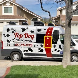 Top Dog Mobile Grooming: Convenient Care for Your Pet