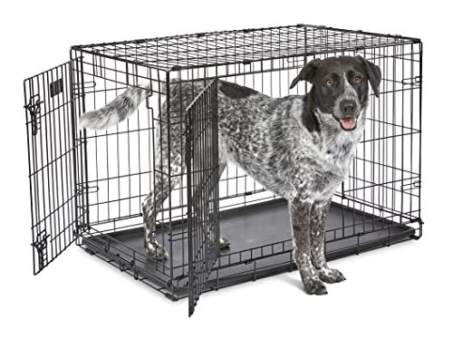 Top Paw Crates for Dogs: Best Durable and Portable Dog Crates Reviewed