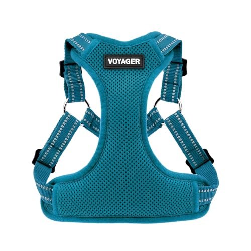 Top Paw Neoprene Comfort Dog Harness: Ultimate No-Pull Solution for Pets