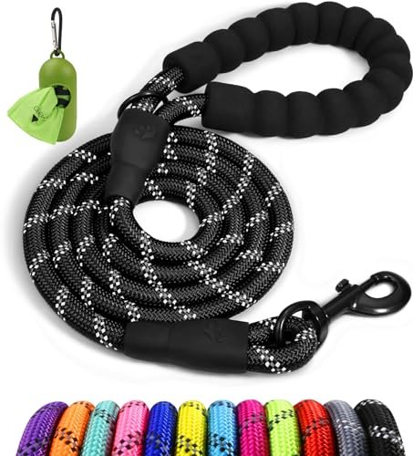 Top Rated Dog Leash