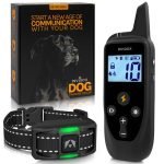 Top Rated Dog Training Collars for Effective and Safe Canine Obedience