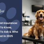 Top Rated Pet Insurance for Dogs: Secure Your Pooch’s Future