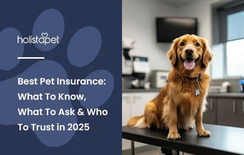 Top Rated Pet Insurance for Dogs: Secure Your Pooch’s Future