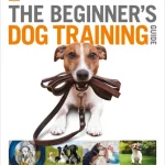 Train to Be a Guide Dog Trainer: Master Your Calling