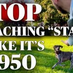 Train Your Dog to Stay: Expert Tips for Success