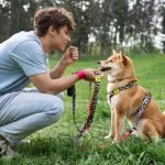 Trained Dogs: Unlock Their Full Potential Today