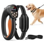 Training a Dog With an Electric Collar: Effective Tips
