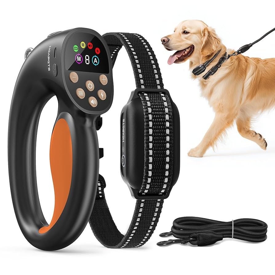 Training a Dog With an Electric Collar: Effective Tips