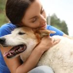 Training a Rescue Dog: Transform Challenges to Triumph