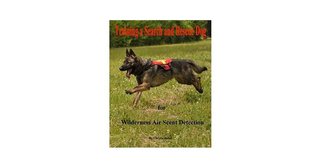 Training a Search And Rescue Dog: Expert Tips Unleashed
