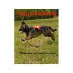 Training a Search And Rescue Dog: Expert Tips Unleashed