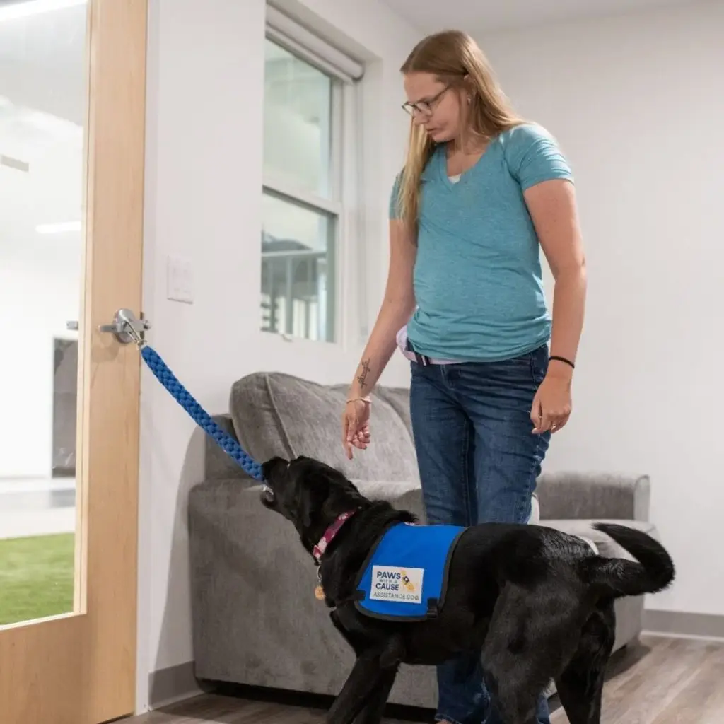 Training a Service Dog: Essential Tips and Techniques