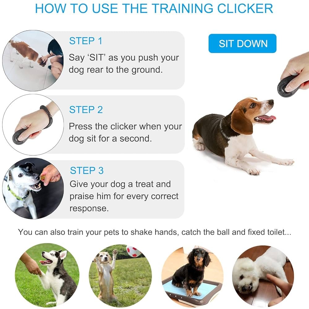 Training Clicker Dogs: Unlock Your Pet’s Potential