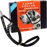 Training Dog Not to Pull on Leash: A Quick Guide