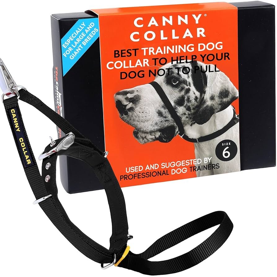 Training Dog Not to Pull on Leash: A Quick Guide