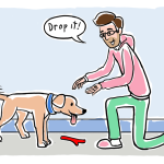 Training Dog to Fetch: Master the Art of Play