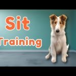 Training Dog to Sit: Master the Essential Command