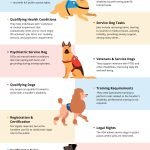 Training Guide for Psychiatric Service Dogs: Essential Steps