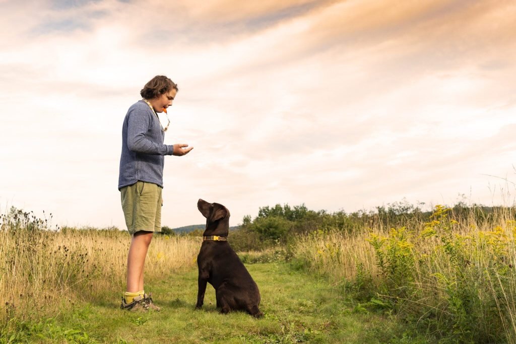 Training With a Dog Whistle: Master Canine Commands