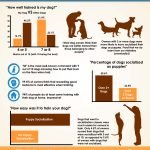 Types of Dog Training: Unlock Your Pup’s Potential