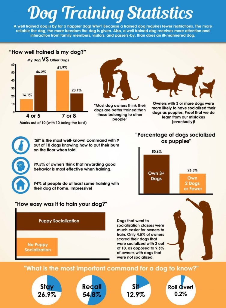 Types of Dog Training: Unlock Your Pup’s Potential