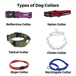 Types of Dog Training Collars: Ultimate Guide