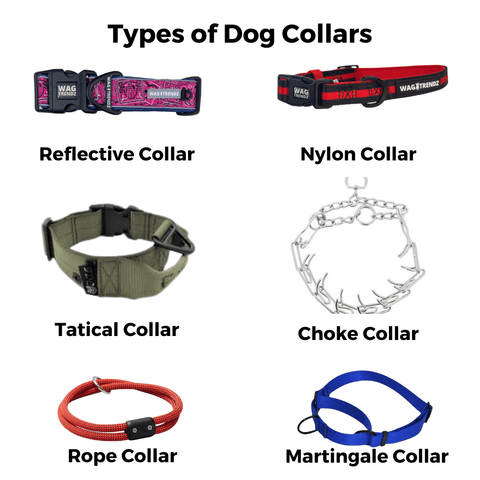 Types of Dog Training Collars: Ultimate Guide