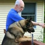 Uncle Matty Dog Trainer: Transform Your Pet’s Behavior