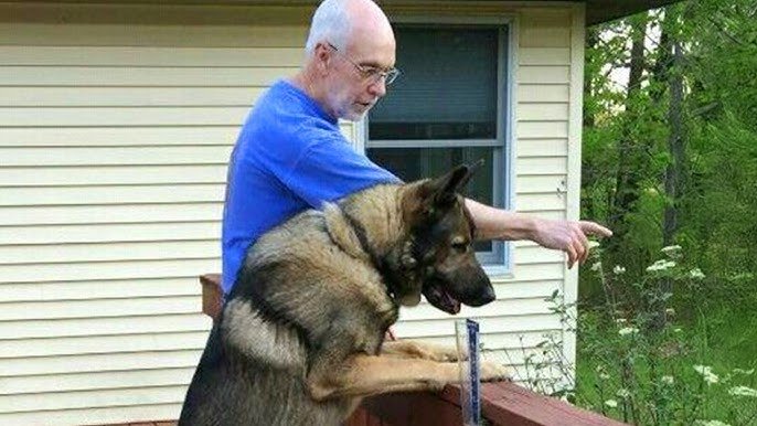 Uncle Matty Dog Trainer: Transform Your Pet’s Behavior