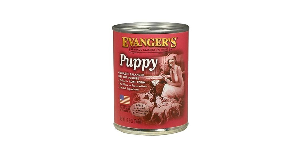 Underweight Dog Diet: Essential Nutrition Tips