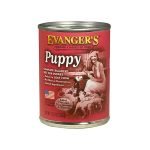 Underweight Dog Diet: Essential Nutrition Tips