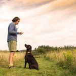 Using a Whistle for Dog Training: Tips for Success