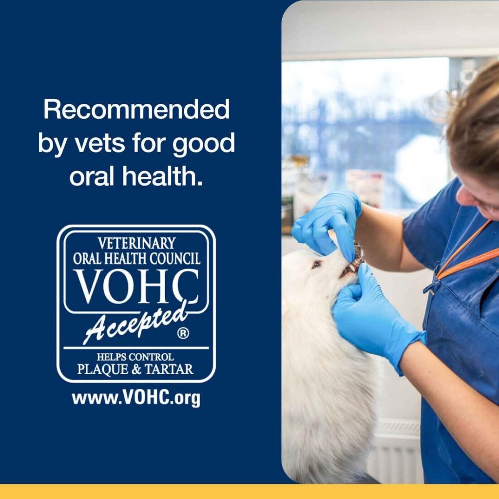 Veterinary Oral Health Council Dog: Ensuring Pet Dental Care