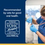 Veterinary Oral Health Council Dog: Ensuring Pet Dental Care