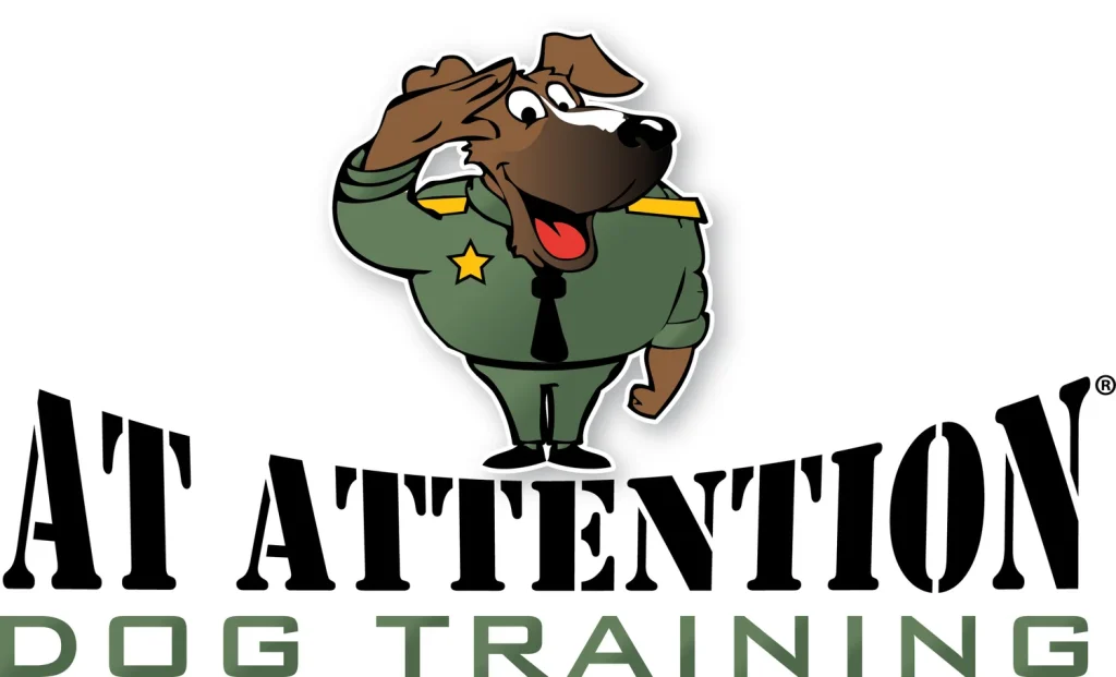 West Chester Dog Training: Transform Your Pup Today